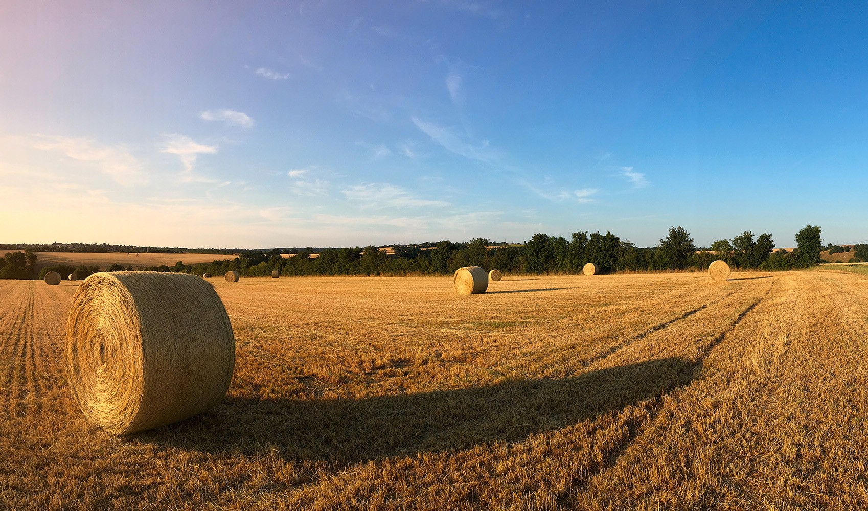 Featured image for “HayDay!”