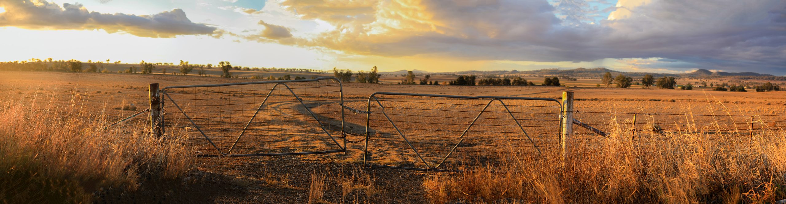 Featured image for “Farmerthon26 – 24 October 2026”